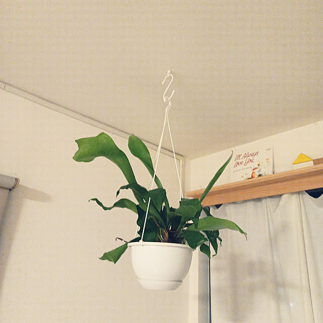 kestyukiさんの実例写真
