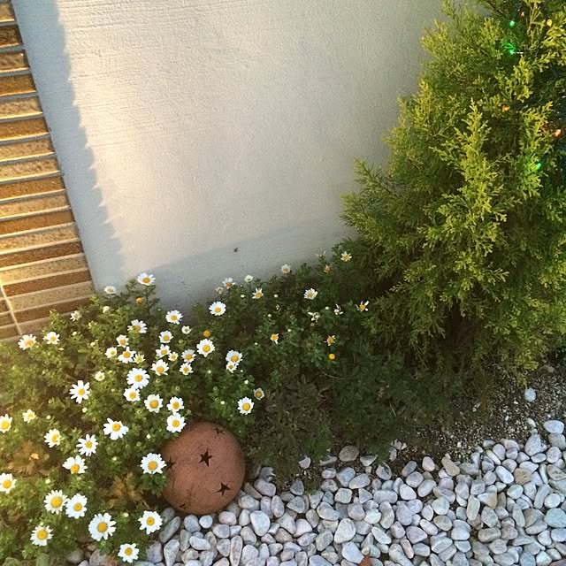 yokkochanさんの実例写真