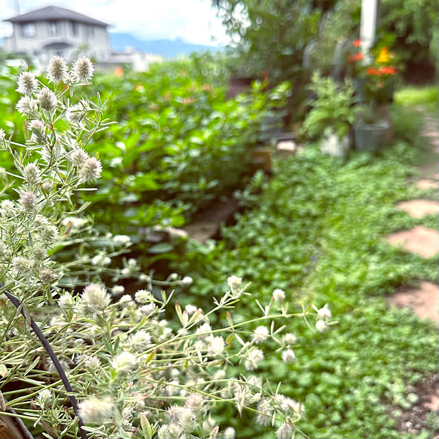 oyoさんの部屋