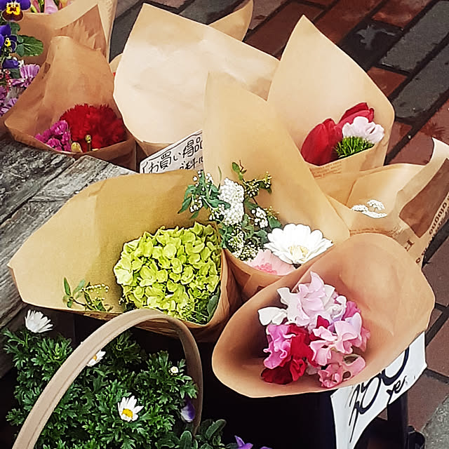 Thiemiさんの実例写真