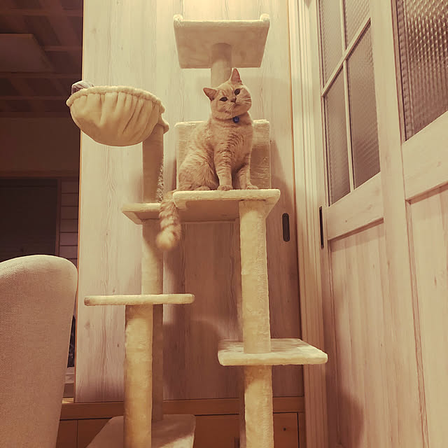 rincocoさんの実例写真