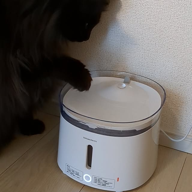 kumiさんの実例写真