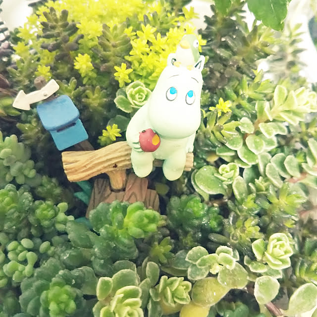 makunouchiさんの実例写真