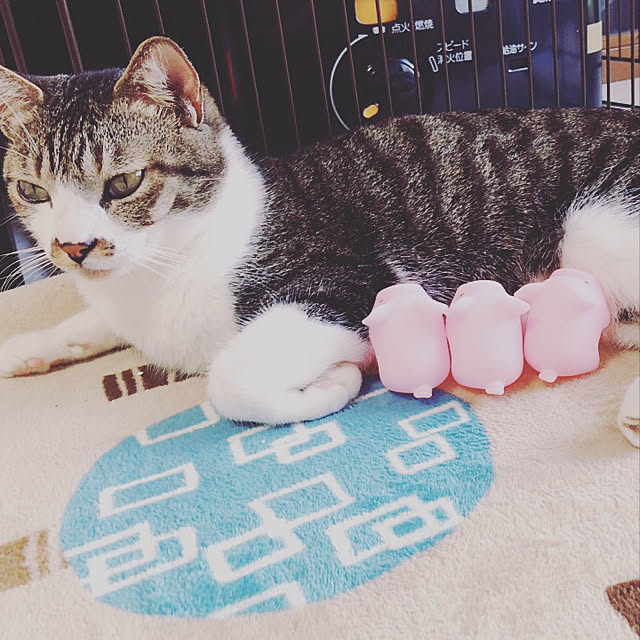 threeさんの実例写真