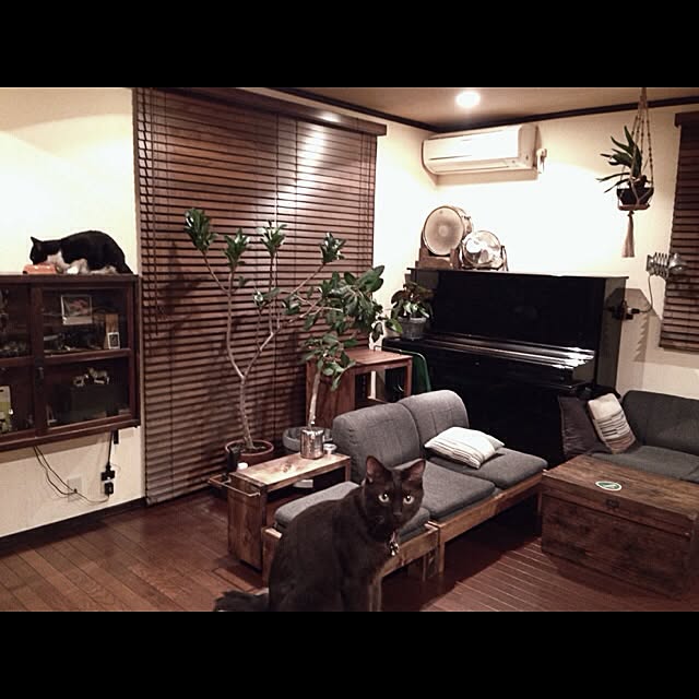 jnkaiさんの実例写真