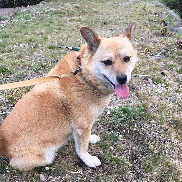 yocchiさんの実例写真