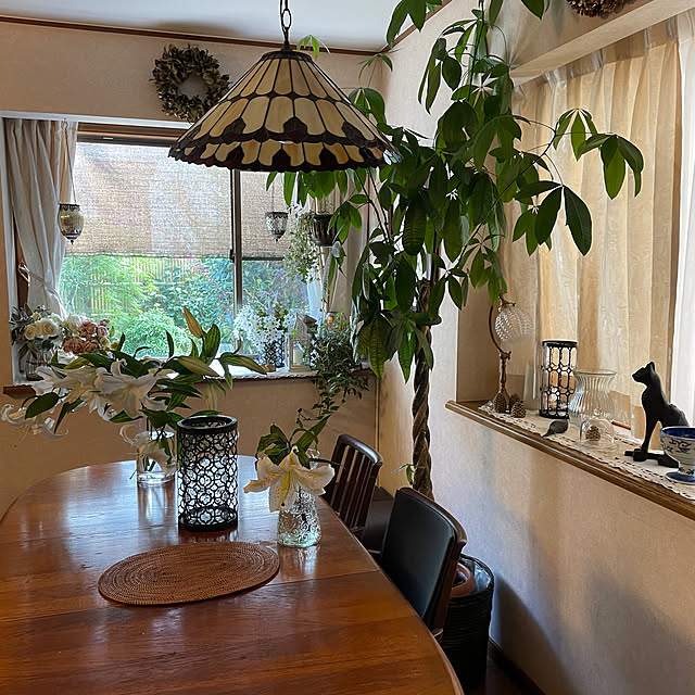 mamizaさんの部屋