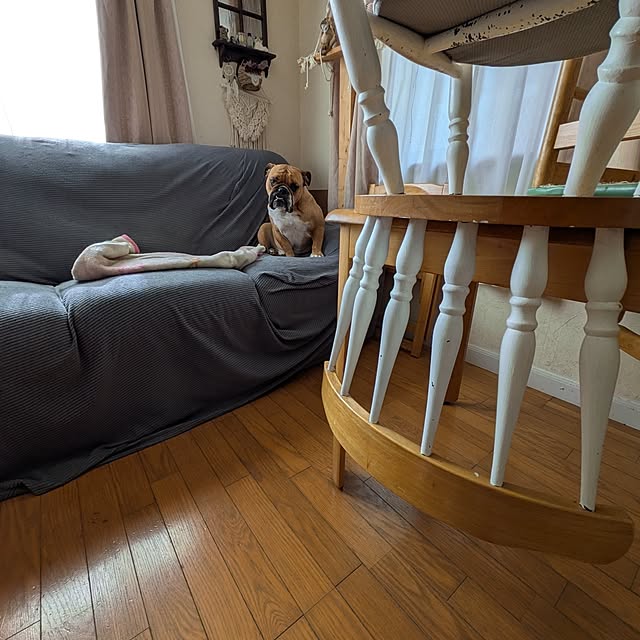 chi_gogaさんの部屋