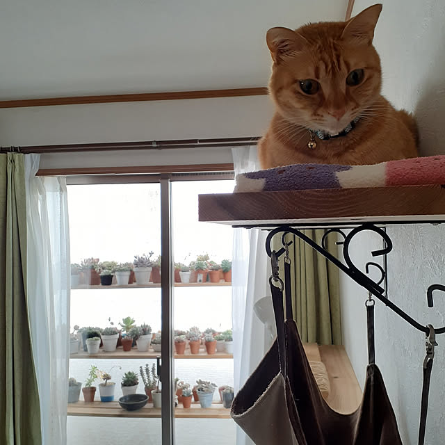amtさんの実例写真