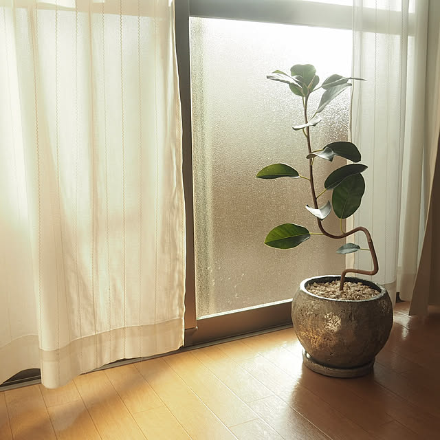 pi.さんの実例写真