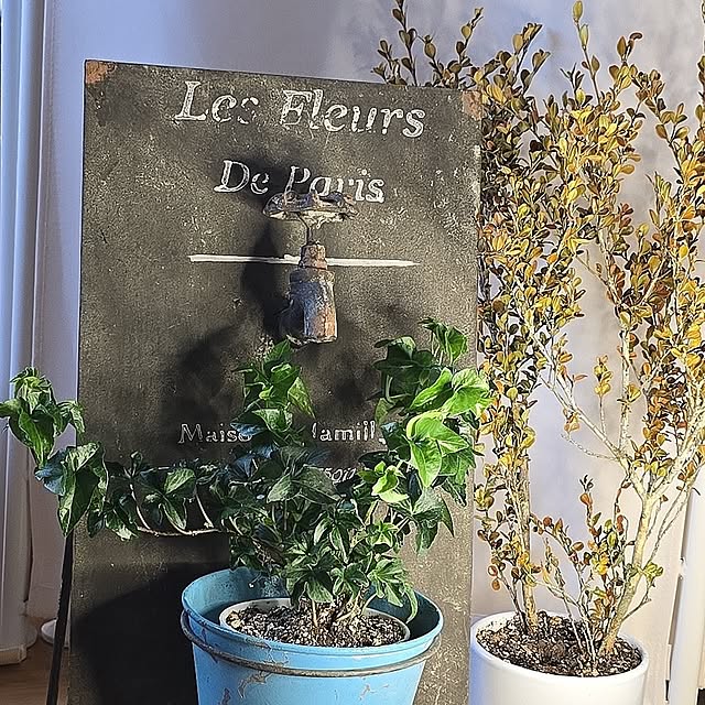 kunyさんの実例写真