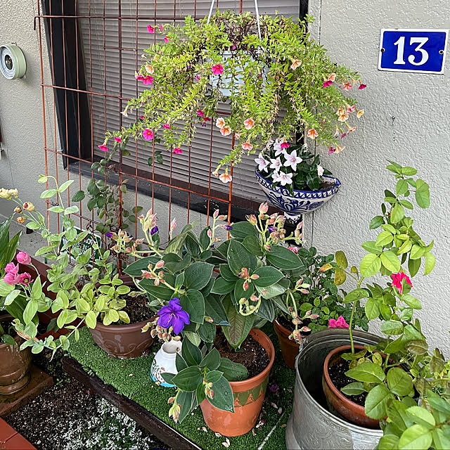 shin0719さんの部屋