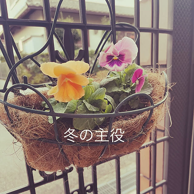 chikaさんの実例写真