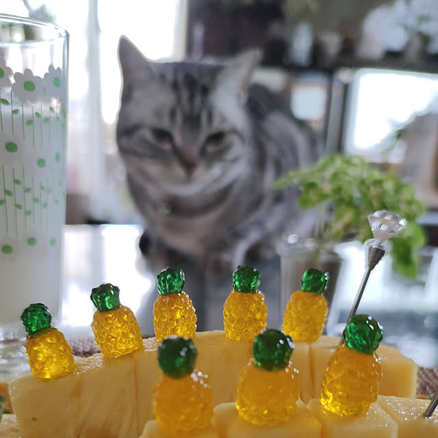 hiro3さんの実例写真