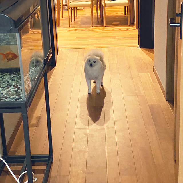 1546さんの部屋