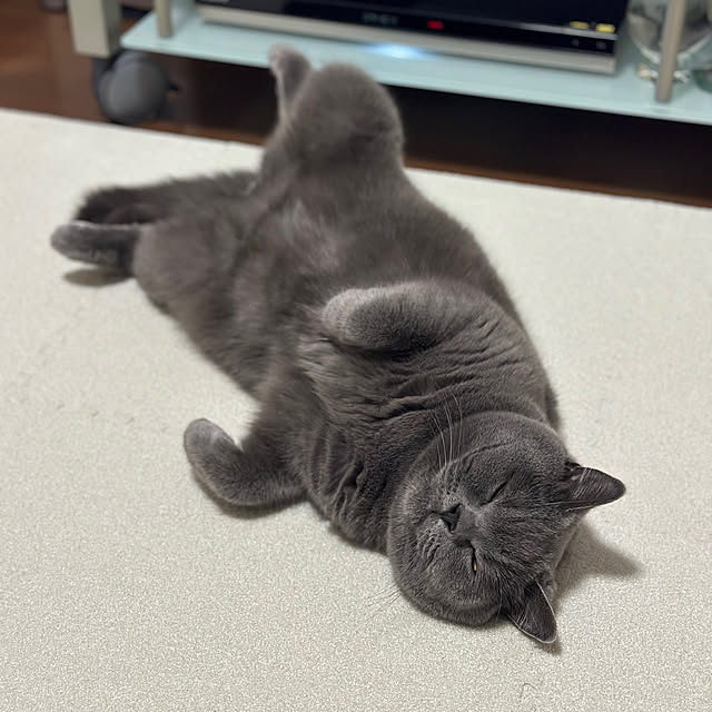 kittyさんの部屋