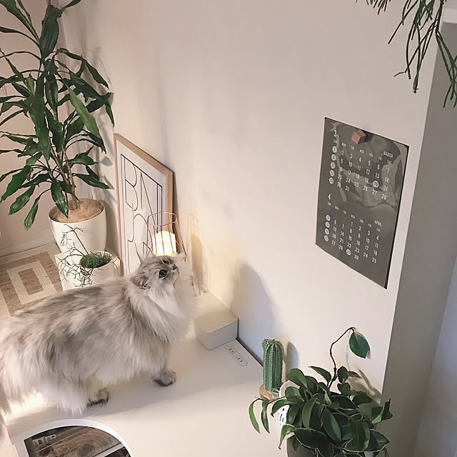 moon.mさんの実例写真