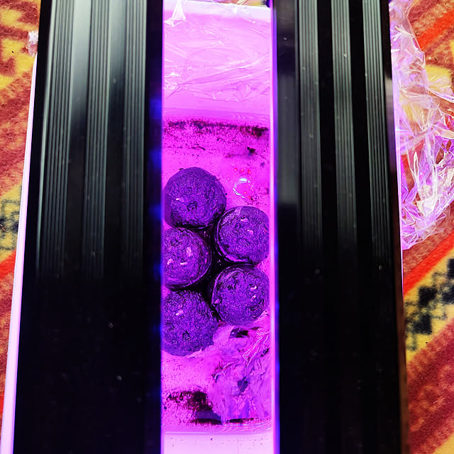 Tackunさんの実例写真