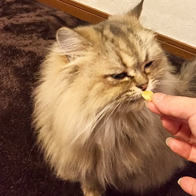 butachanさんの実例写真