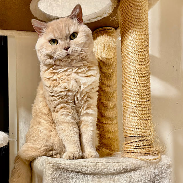 naokoさんの部屋