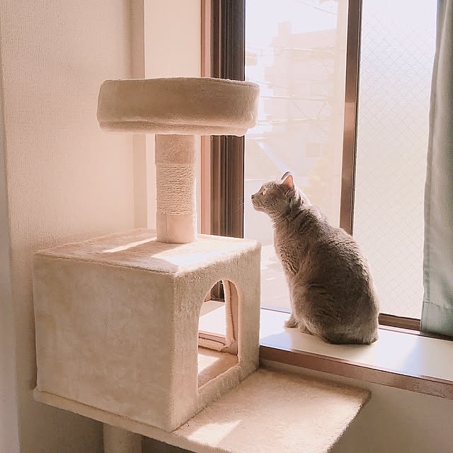 hiさんの実例写真