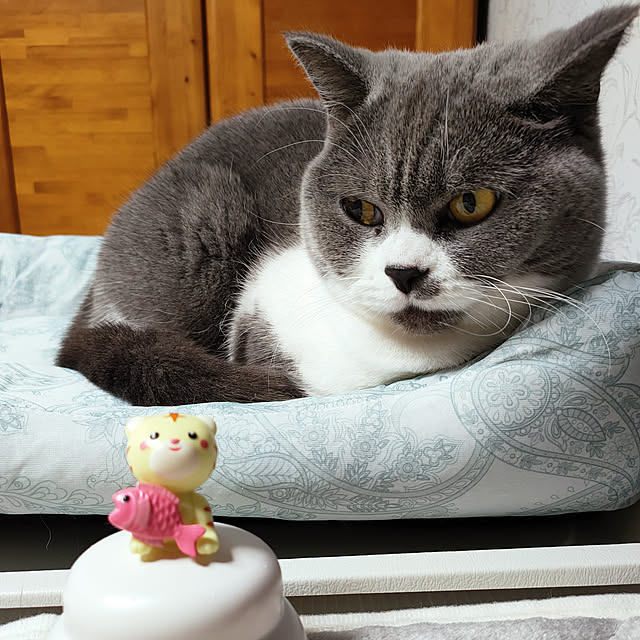 KEIKOさんの実例写真