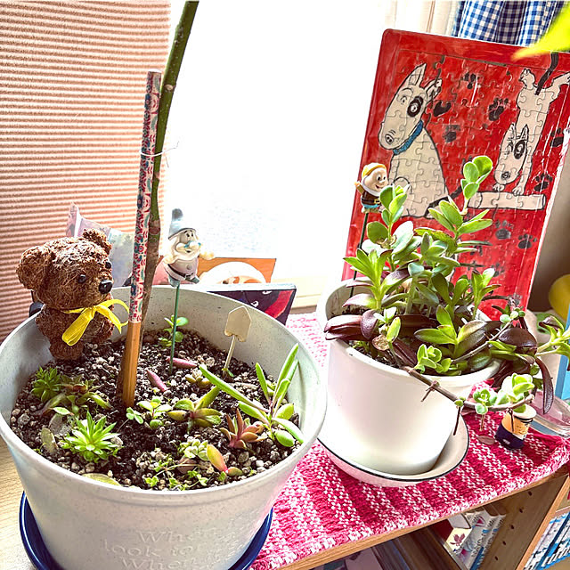takakoさんの部屋