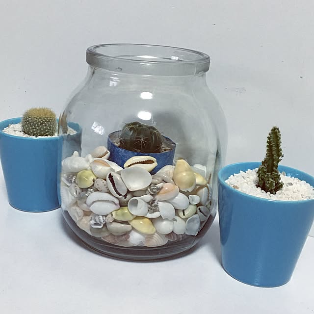 rk5kuuさんの実例写真