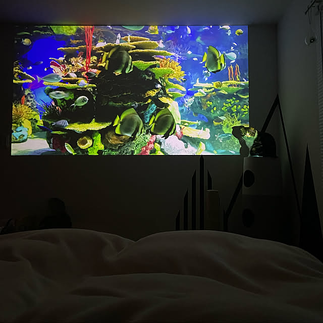 tansukeさんの実例写真