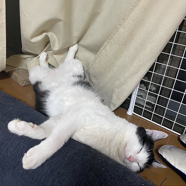 harukaさんの実例写真