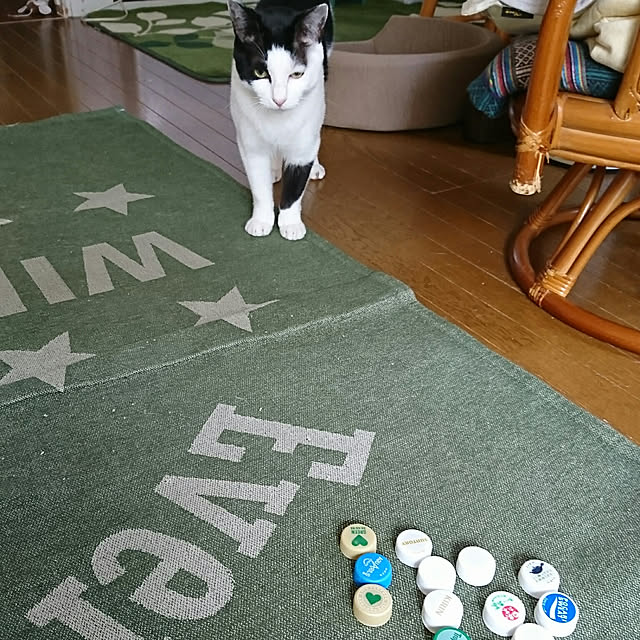 SHIHOさんの実例写真