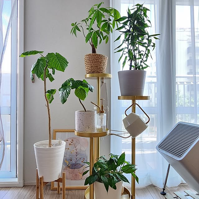 pinonさんの部屋