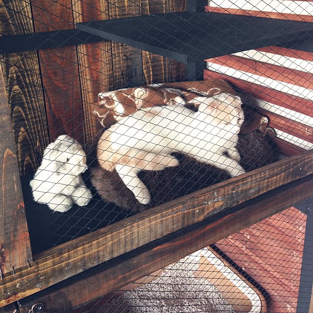 onojiijiさんの実例写真