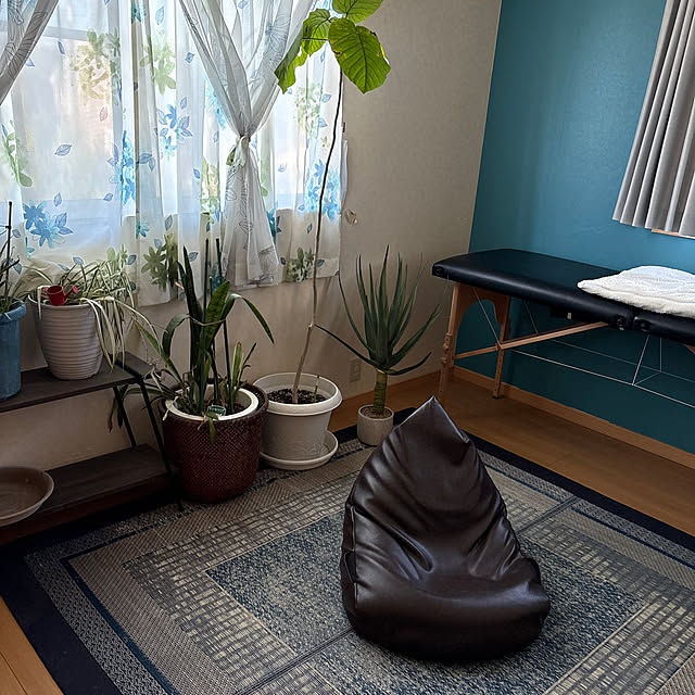 Fumiさんの実例写真