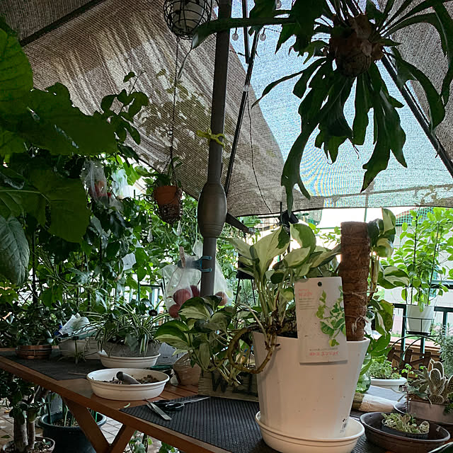 Aqettyさんの部屋