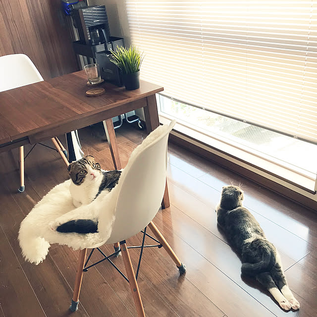 tansukeさんの実例写真