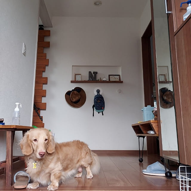 ciiiさんの実例写真
