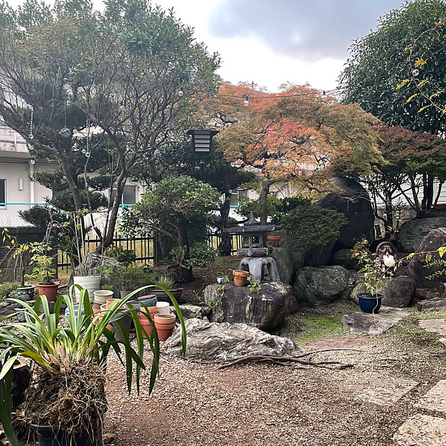 shin0719さんの実例写真