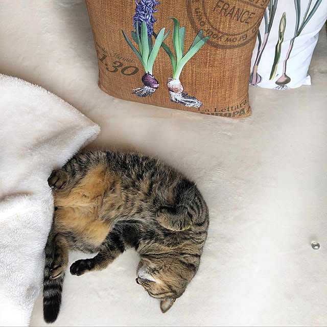 weさんの実例写真