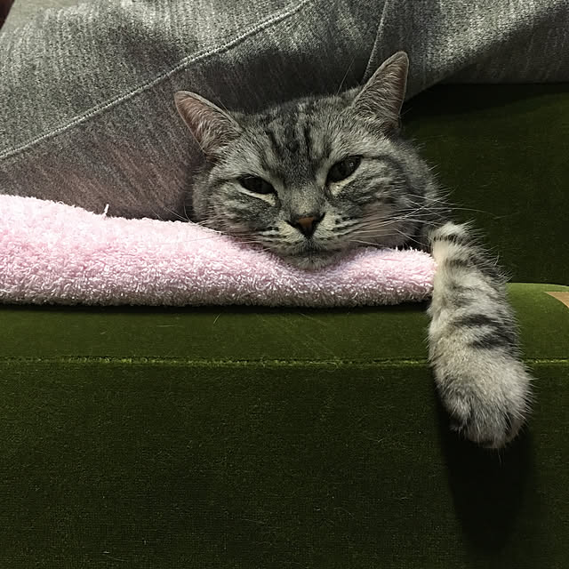 mikomaruさんの実例写真