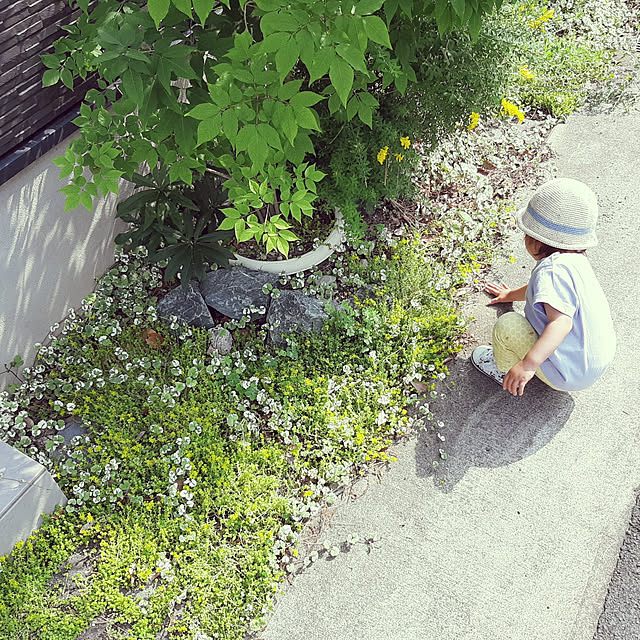 yome03さんの実例写真