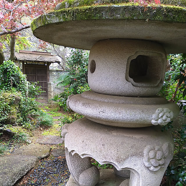 y.ebihara0811さんの実例写真