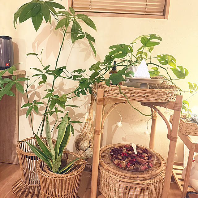 kozさんの実例写真