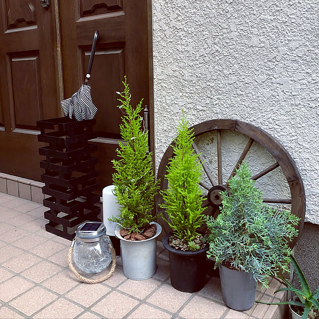 Nobbyさんの実例写真