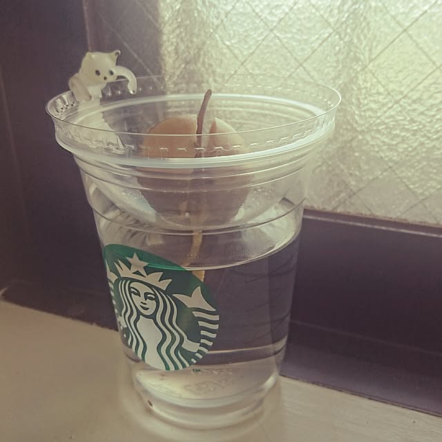 smooch_smoochさんの実例写真