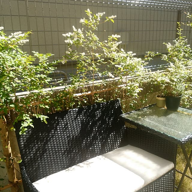 SSさんの実例写真