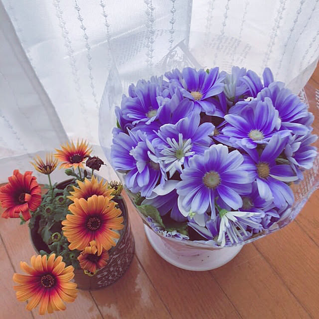 sakicomさんの実例写真