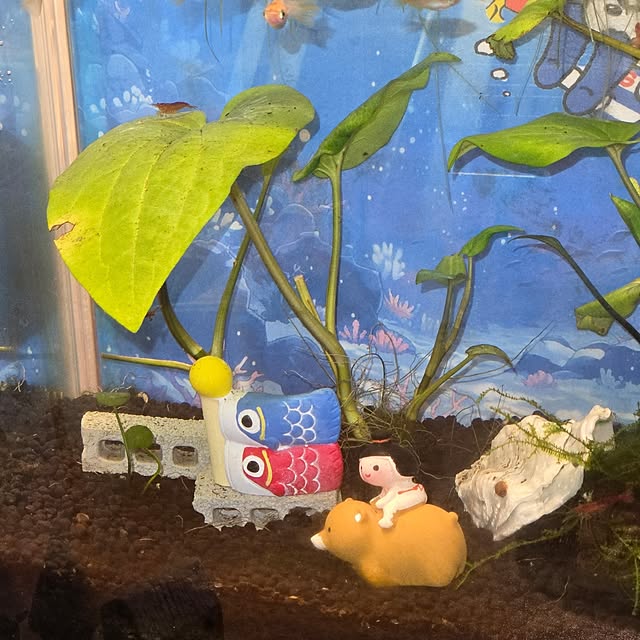 tamiさんの部屋