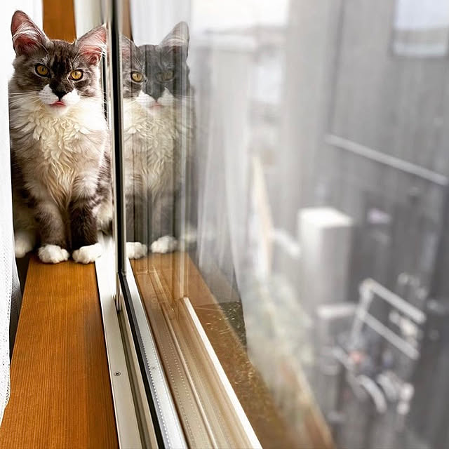 rarryさんの実例写真