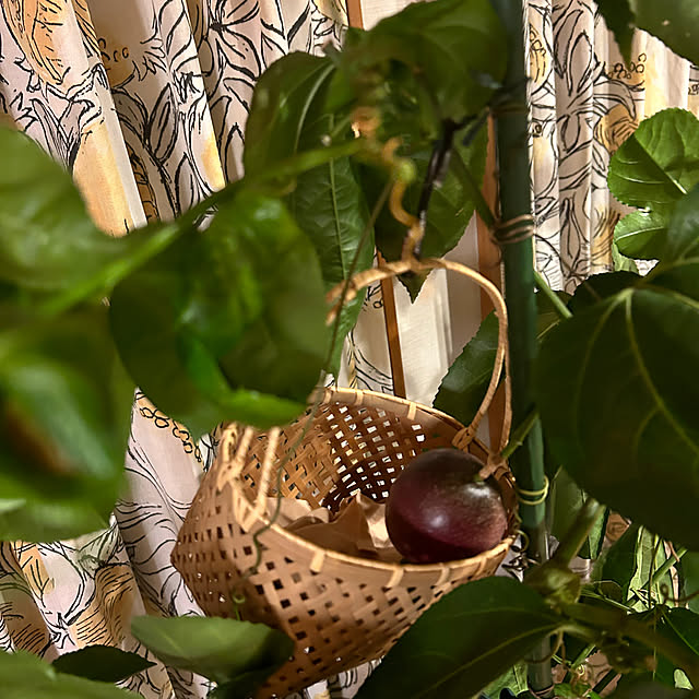 botanさんの部屋